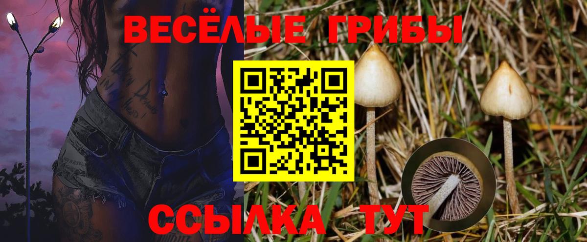 Псилоцибиновые грибы GOLDEN TEACHER Симферополь